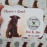 Tarjetas Rasca y Gana Piratas del Caribe | ¡Encuentra el Tesoro!