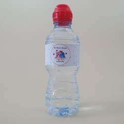 Etiqueta Adhesiva Dinosaurios para Botella de Agua | Fiesta Infantil