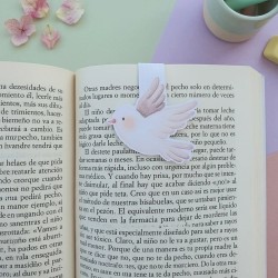 Marcapáginas Imantado Paloma | Puntos de Libro de Animales