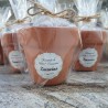 Maceta Terracota Personalizada | Detalles y Regalos Artesanales