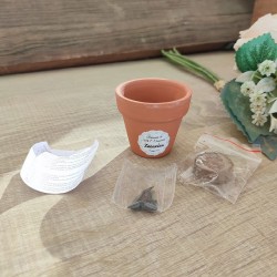 Maceta Terracota Personalizada | Detalles y Regalos Artesanales
