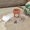 Maceta Terracota Personalizada | Detalles y Regalos Artesanales