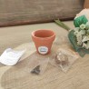 Maceta Terracota Personalizada | Detalles y Regalos Artesanales