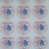 Pegatinas Adhesivas Personalizadas para Eventos | Stickers Decorativos