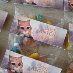 Diseño de packaging para golosinas con la imagen del minino aventurero.