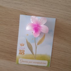 Diseño de pinza floral hawaiana con presentación personalizada.