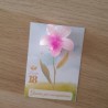Diseño de pinza floral hawaiana con presentación personalizada.